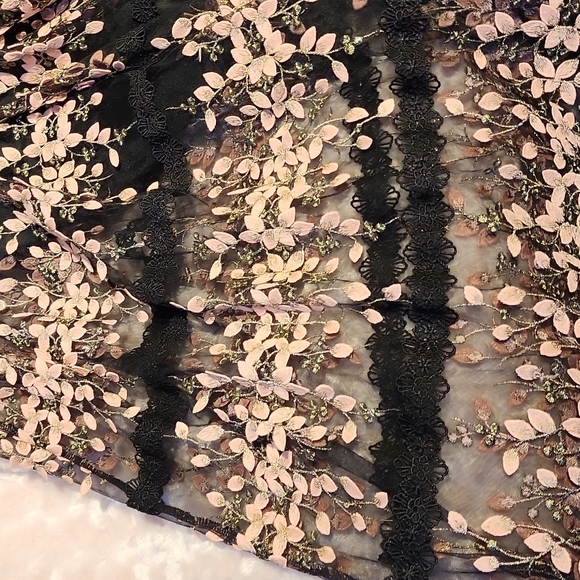 Jessakae Collection Embroidered  Fancy formal dress  Sz Med - Picture 15 of 15